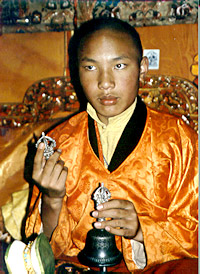 Ogyen Trinley Dorje, Le 17ème Karmapa